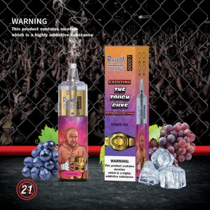 Blaubeereis-RandM Tornado 10000 Einweg Vape 10000 PuffsRANDMTORNADO10000 1