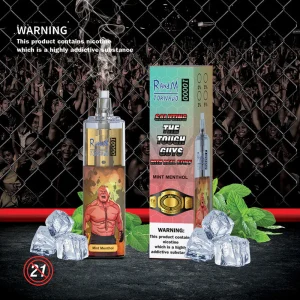 Minze-Menthol-RandM Tornado 10000 Einweg Vape 10000 PuffsRANDMTORNADO10000 4